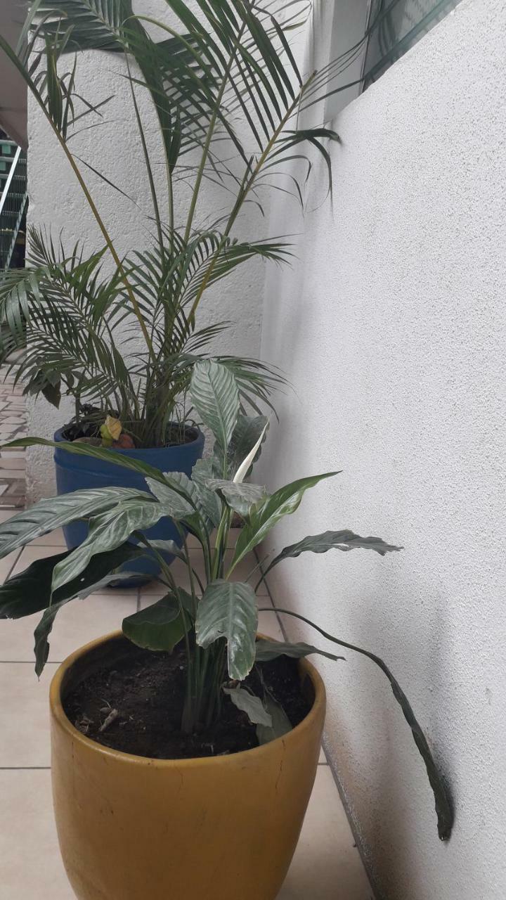 Estelí Hostal Familiar Ulua מראה חיצוני תמונה