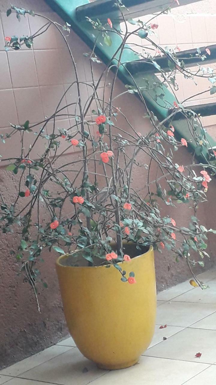 Estelí Hostal Familiar Ulua מראה חיצוני תמונה